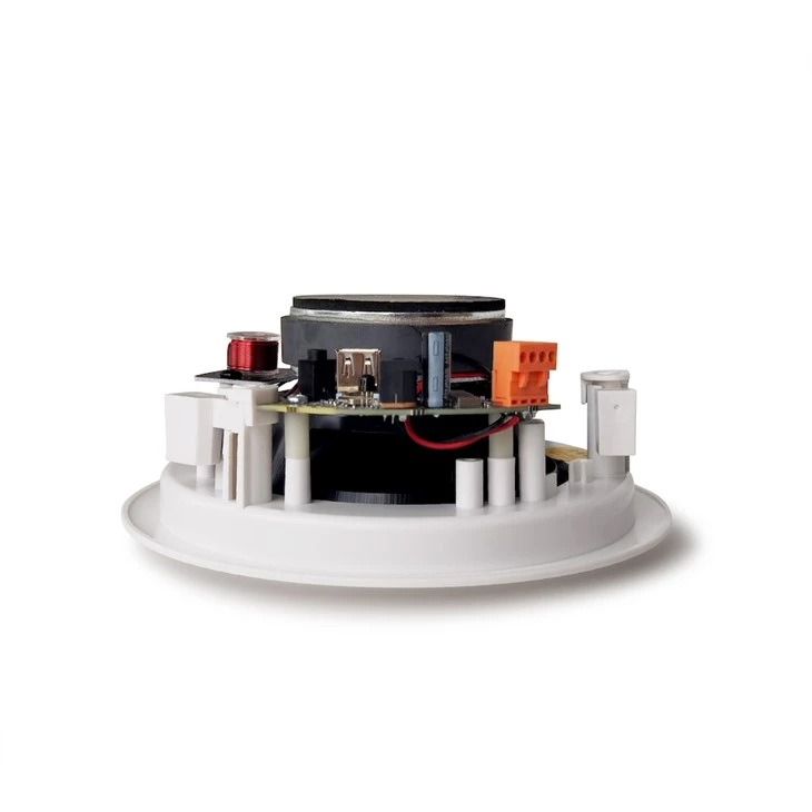 Bluetooth Ceiling Speaker best
