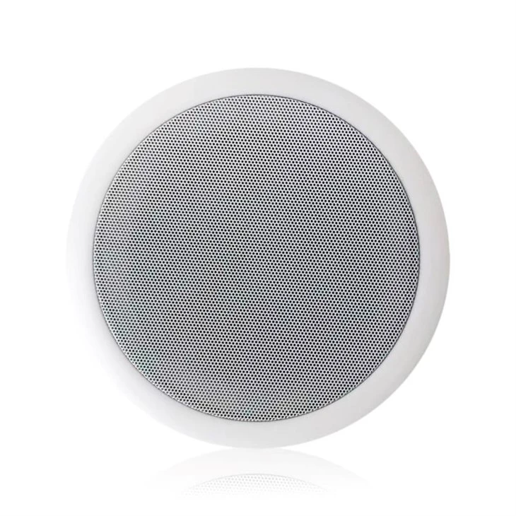 Bluetooth Ceiling Speaker