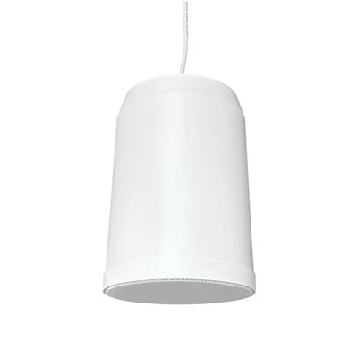 20W 100V پینڈنٹ اسپیکر